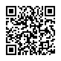 [www.hdmayi.com]钢铁侠3.2013.1080P.BD-MP4.国英双语.中英特效字幕的二维码